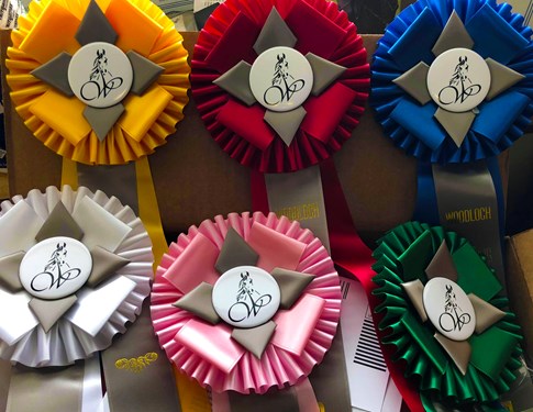 "DerbyRibbons.jpg"