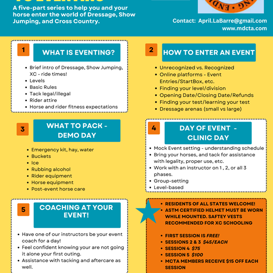 "Colorful Illustrative Buy a Used Car Tips Infographic Poster.png"