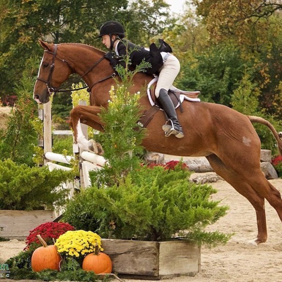 "A4921EB3-5236-489D-8119-267C7DA84486.jpeg"