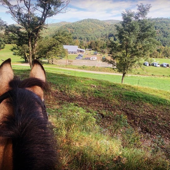 "HitchingPostFarm_STRIDER_HorseTrial.jpg"