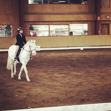 "norah dressage.jpg"