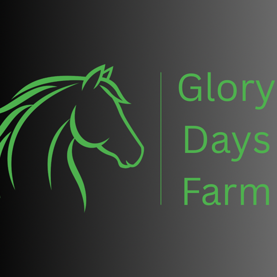 "Your paragraph text.png"