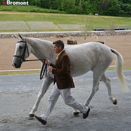"Stephen Simon Bromont 2 by Charlotte Harris.jpg"