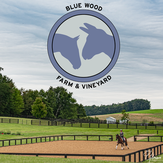 "BlueWoodFarm&Vineyard_Dressage_MillbrookNY_STRIDERPRO.png"