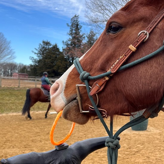 "604736890_1440291581430162_4676822583901851993_n.jpg"