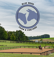 "BlueWoodFarm&Vineyard_Dressage_MillbrookNY_STRIDERPRO.png"