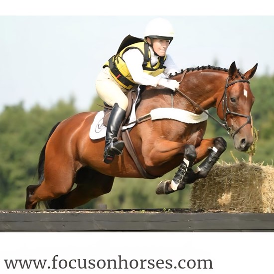 "Screenshot_20260113_015413_DuckDuckGo (1).jpg"