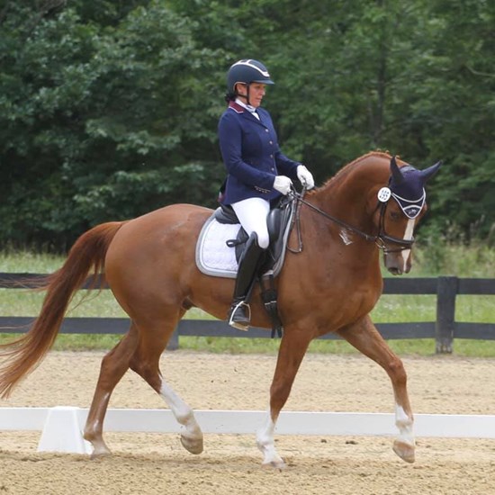 "471984931_10170964278840790_6091230524517675951_n.jpg"