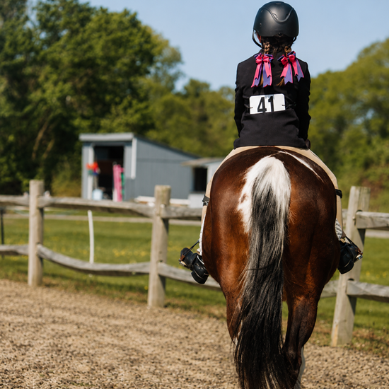 "AzrealAcres-HorseShow.png"